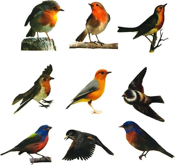 Image du produit JTI Pack d'autocollants - Petits oiseaux