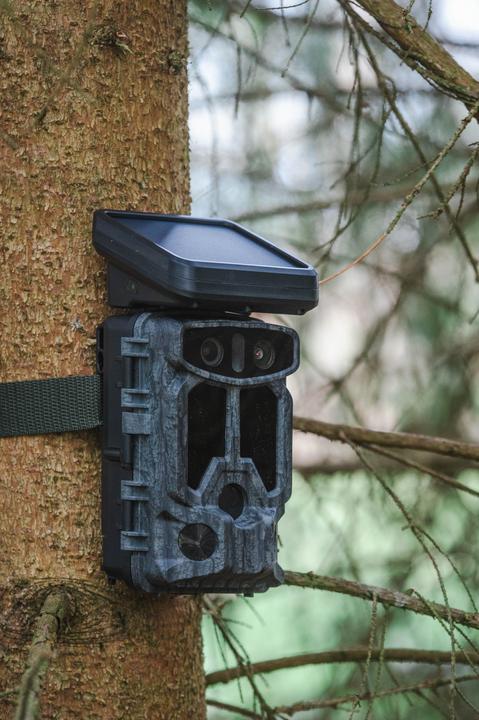 Produktbild Braun Photo Scouting Cam Black1320 Wifi Solar 4K DS