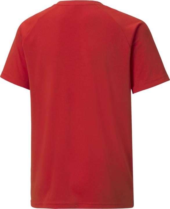 Immagine prodotto Puma maglia a righe teamLIGA Jr-704927 (176)