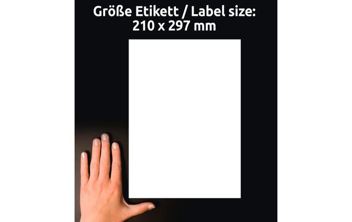 Image du produit Avery AVZ L8001-10 Étiquettes antimicrobiennes 210x297mm blanc