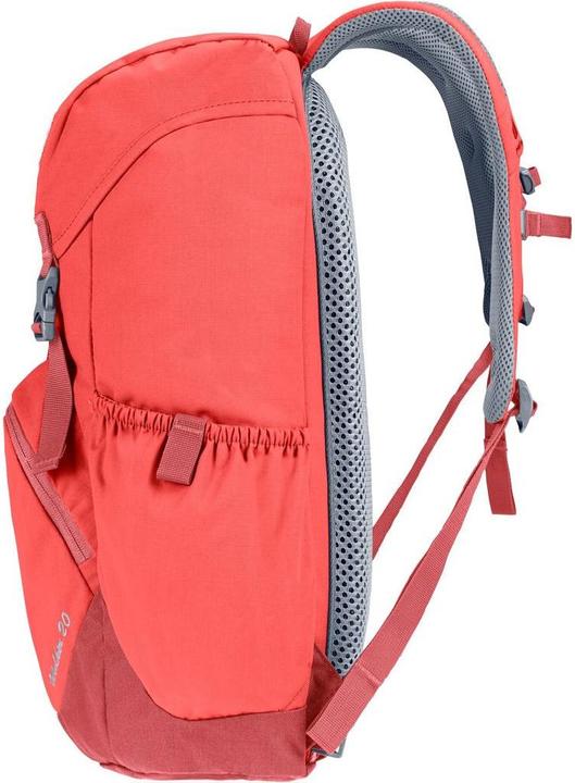 Actual product image Deuter Walker 20 (20 l)