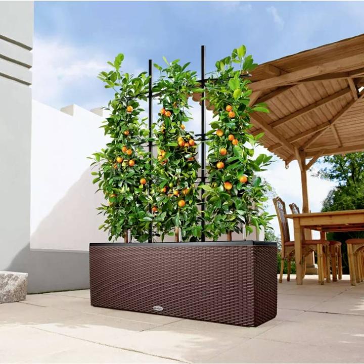 Produktbild Lechuza Trio Cottage (32 cm)