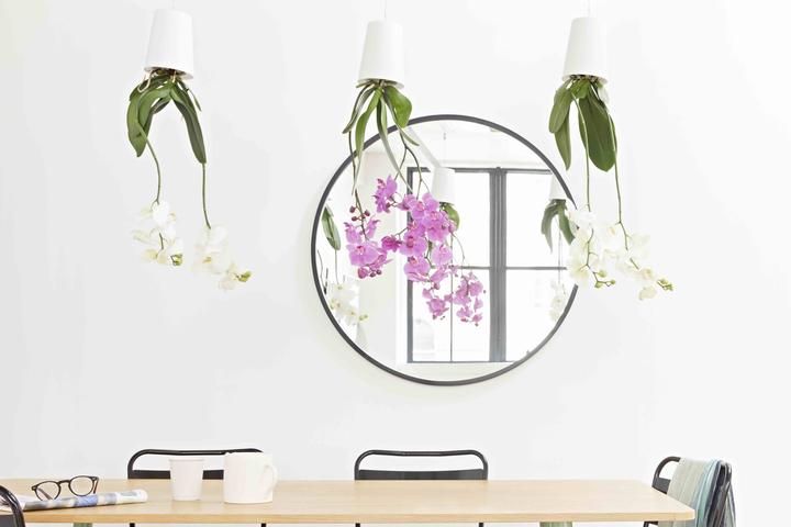 Actual product image boskke Sky Planter hanging plant pot with water reservoir