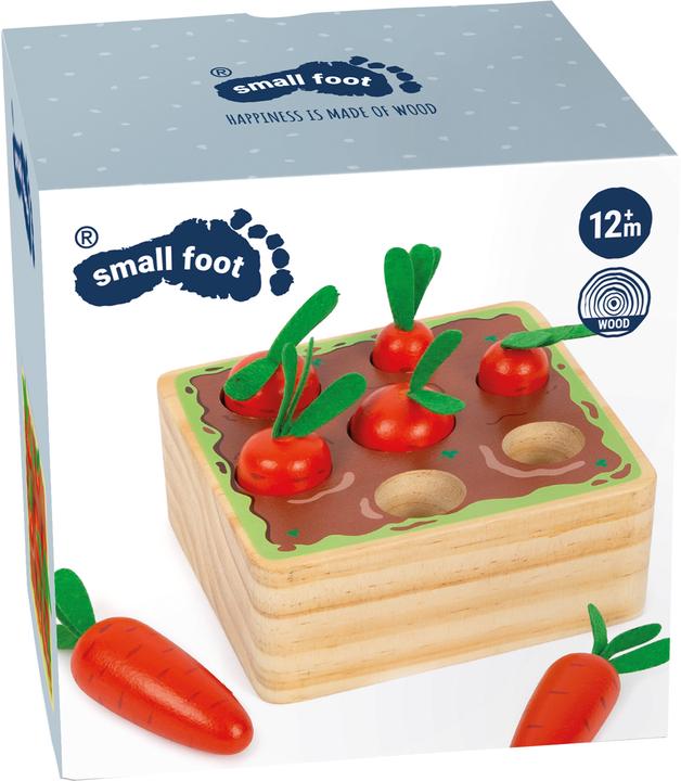 Actual product image small foot Carrots