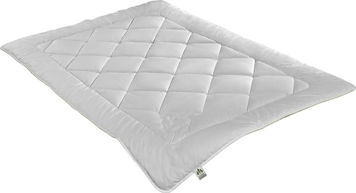 Produktbild Irisette Greenline Greenline Kamelhaar ECO Mono leicht (1200 g, 200 x 200 cm)