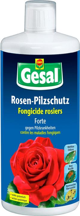 Gesal Rosen-Pilzschutz Forte (Mehltau)