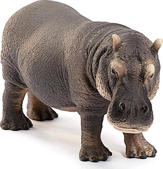 Actual product image Schleich Hippo