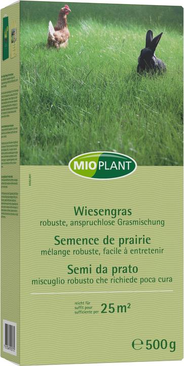Produktbild Mioplant Wiesengras (Rasensamen)