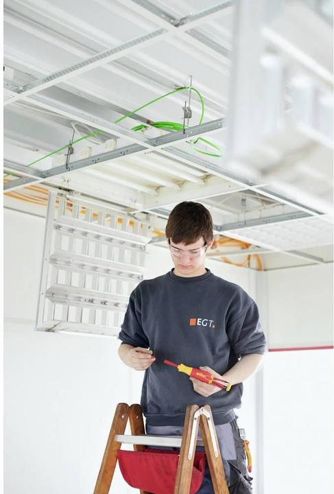 Actual product image Wiha LiftUp Electric (Pozidriv cross recess (PZ))