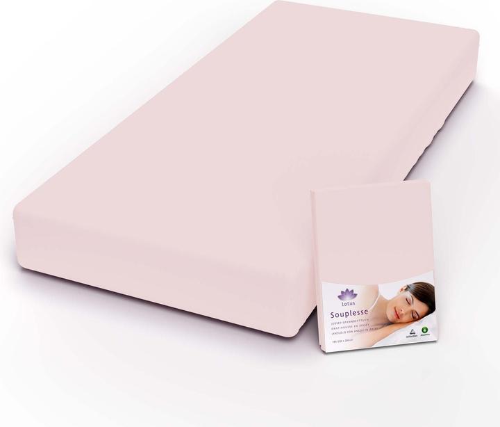 Actual product image Lotus Bettwaren Jersey fitted sheet Souplesse (160 x 200 cm)