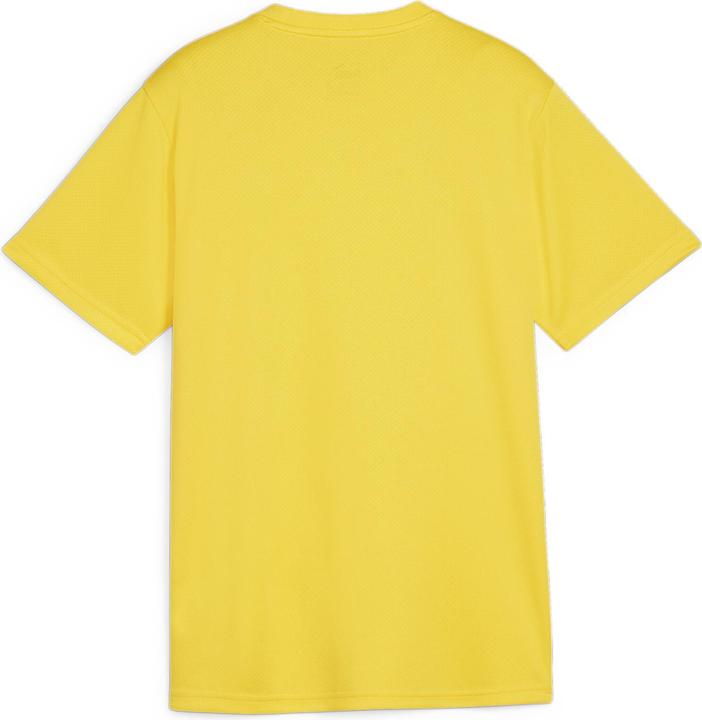 Immagine prodotto Puma Maglia TeamGOAL Jr (164)