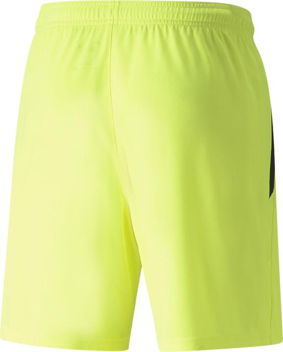 Image du produit Puma teamLIGA Shorts (L)