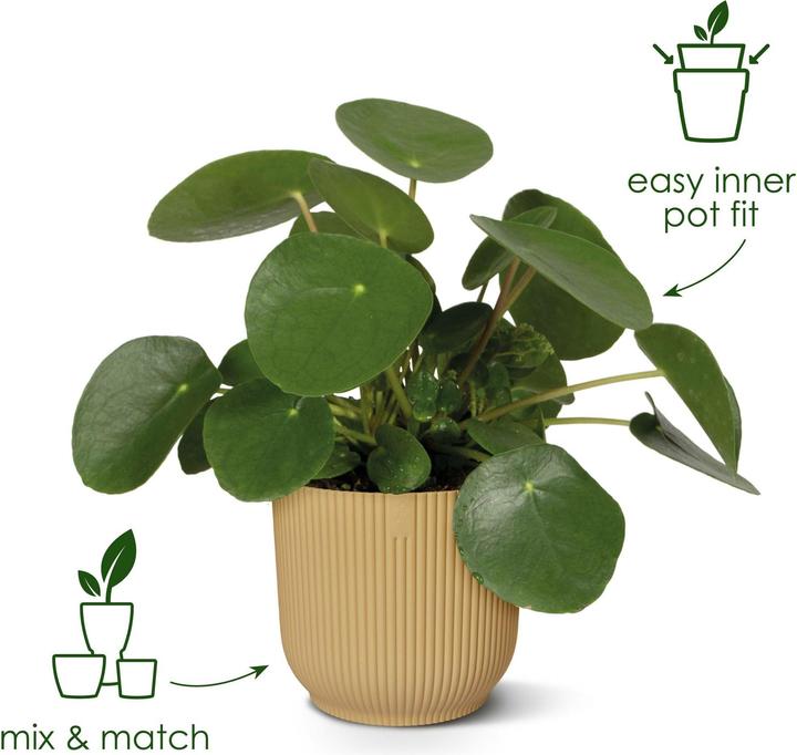 Actual product image Elho Vibes Fold (25 cm)