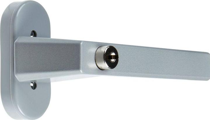 Actual product image Abus Window handle FG110 grey
