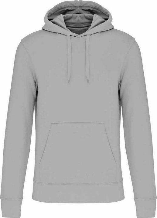 Grigio neve