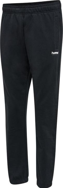 Actual product image hummel Lgc Shai Regular Pants (M)