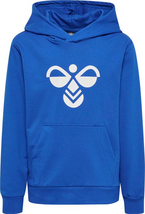 Actual product image hummel hmlCUATRO HOODIE (128)