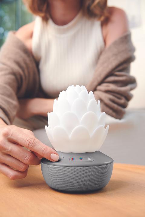 Actual product image Skiphop Succulent night light