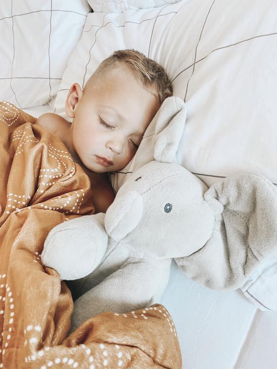 Image du produit Spin Master GUND Flappy, l'éléphant qui chante et qui parle, en français (30.50 cm)