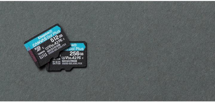 Produktbild Kingston Canvas Go! Plus microSD (256 GB, microSDXC, U3, UHS-I)