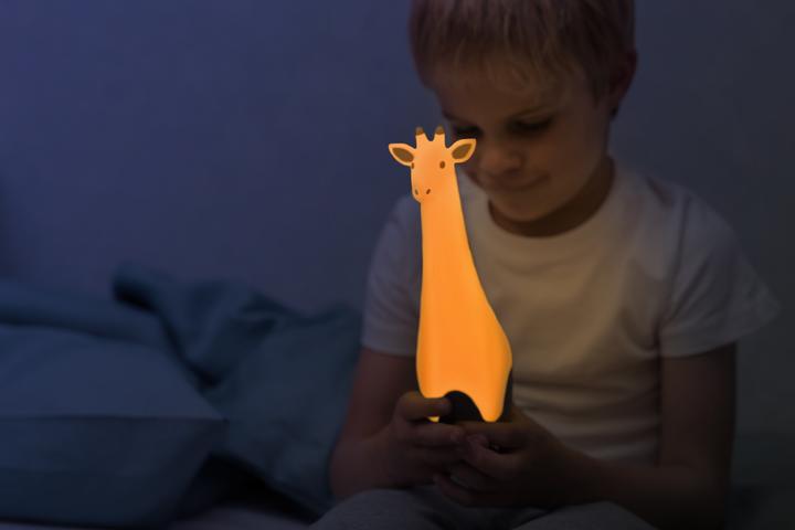 Produktbild ZaZu Goodnight Buddie