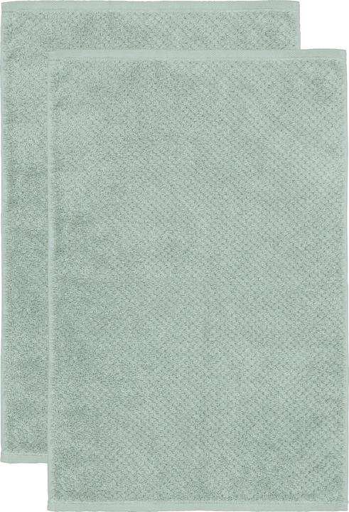 Eucalyptus vert