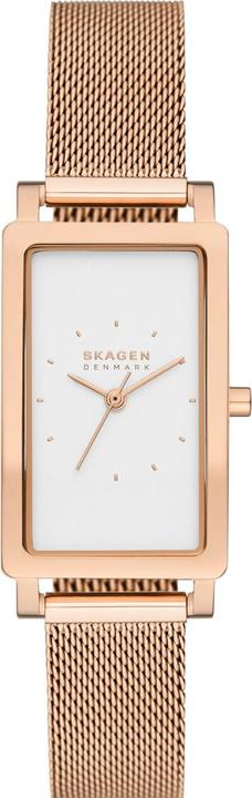 Skagen Hagen (Montre analogique, 22 mm)