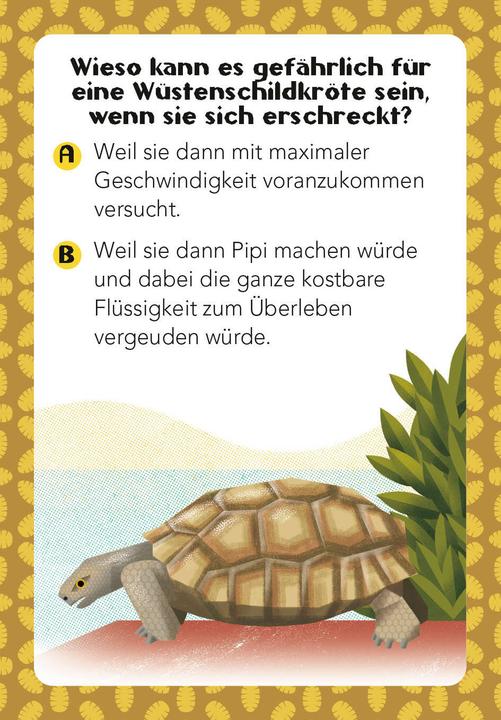 Produktbild National Geographic Tier-Quiz. 100 Fragen über Tiere für Quizfans und Tierfans (100 Fragen & Antworten) (Deutsch)