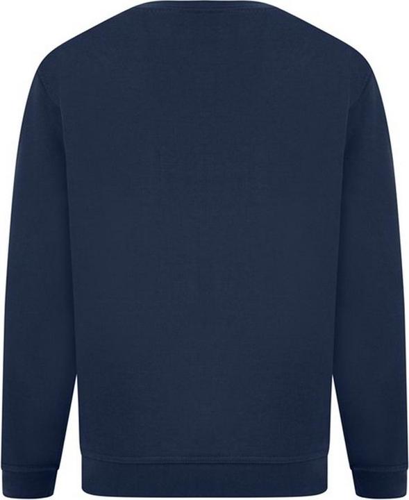 Image du produit Absolute Apparel Pull-over Sterling (3XL)
