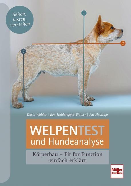 Produktbild Welpentest und Hundeanalyse (Deutsch, Doris Walder, 2022)
