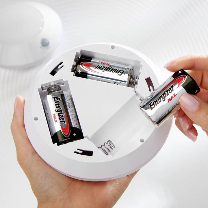 Produktbild Energizer Max Alkaline (2 Stk., D)