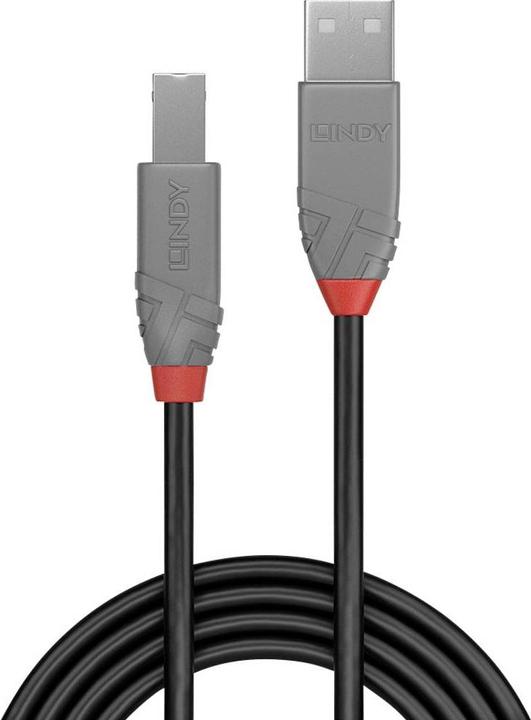 Immagine prodotto Lindy USB A — USB B (3 m, USB 2.0)
