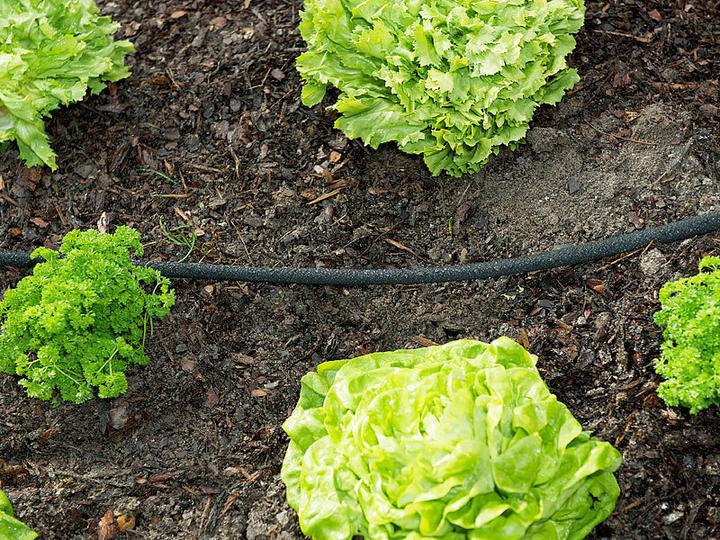 Produktbild Royal Gardineer Perlschlauch inkl. Schnellanschluss-Kupplungen (12 m)