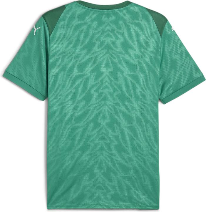 Produktbild Puma teamCUP Jersey (L)