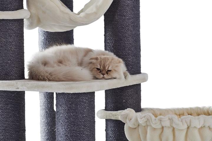 Actual product image Nobby Chilo (165 cm, Beige, Charcoal)