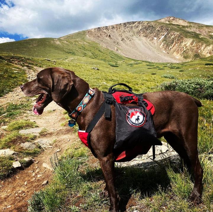 Produktbild Fido Pro Saddle-Dry-Bags Hunderucksack (Hundemantel)
