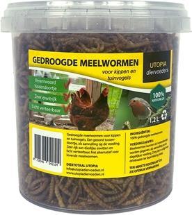 Immagine prodotto Utopia Vermi da cortile (1 x, 0.23 kg)