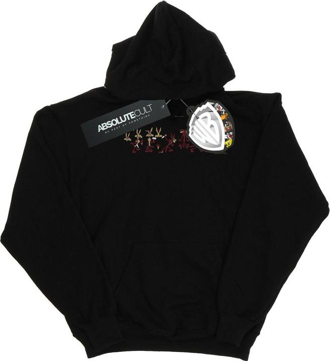 Image du produit Looney Tunes - Sweat à capuche WILE E COYOTE COLOUR CODE - Homme (S)