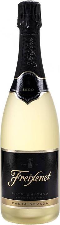 Image du produit Freixenet ARTA NEVADA Premium-Cava Seco (1 x 75 cl)