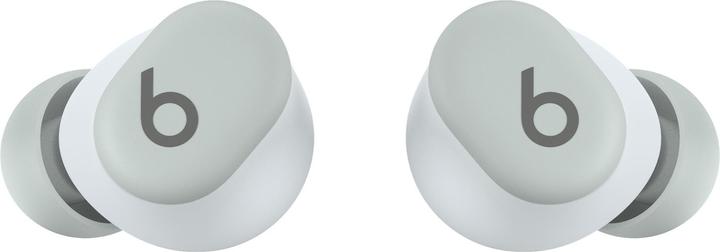 Image du produit Beats Solo Buds szare (Sans fil)