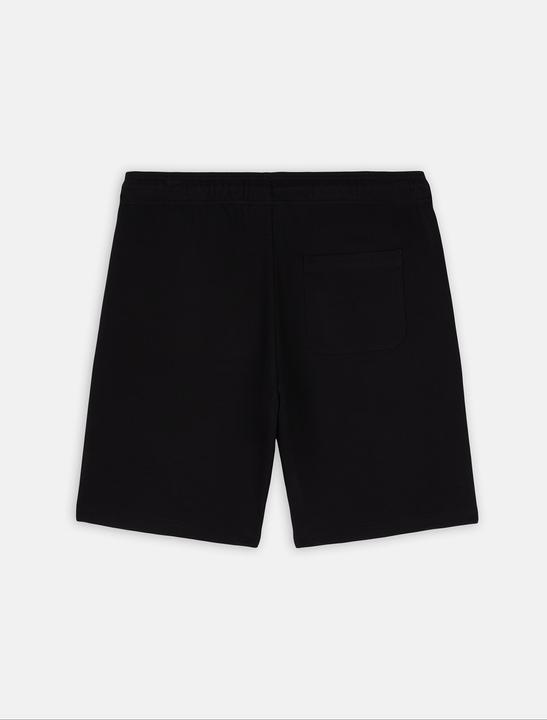 Actual product image Dickies Mapleton Short Black (XXL)