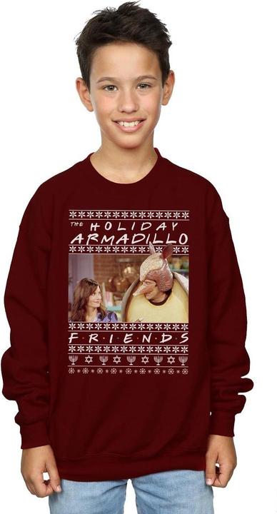 Immagine prodotto Friends Fair Isle Holiday Armadillo Felpa Ragazzi (140, 146)