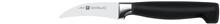 Produktbild Zwilling Vier Sterne (7 cm)