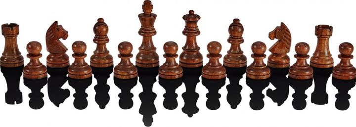 Actual product image Millennium Chess Classics Exclusive
