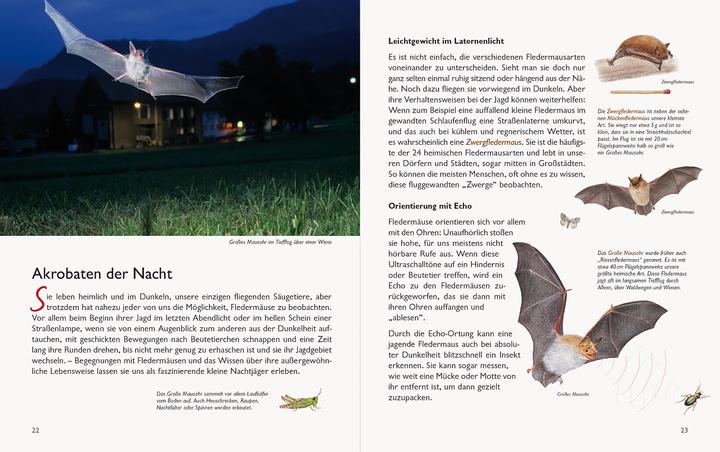 Actual product image Wawra's Naturbuch, Band 1: Säugetiere, Vögel, Reptilien, Amphibien (German, Johannes Wawra, Ursula Wawra, 2020)