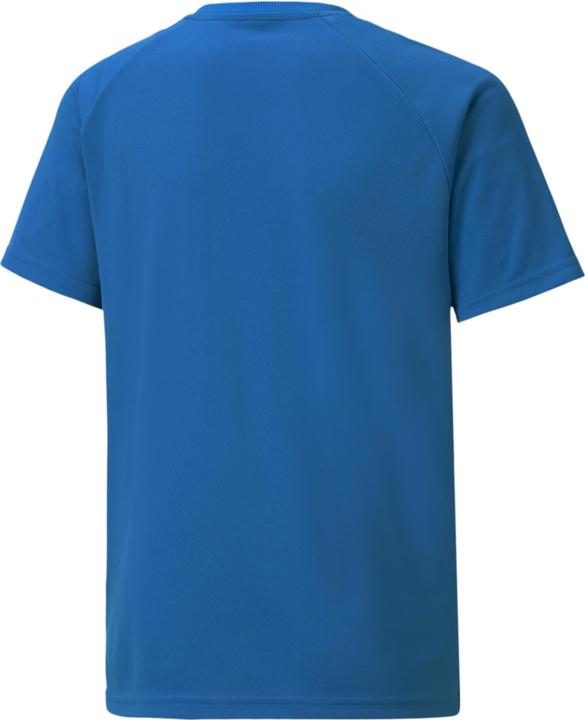 Immagine prodotto Puma maglia a righe teamLIGA Jr-704927 (116)