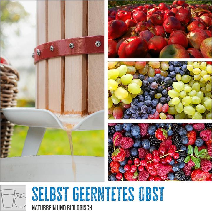 Actual product image Güde Solingen Obstpresse OP 6