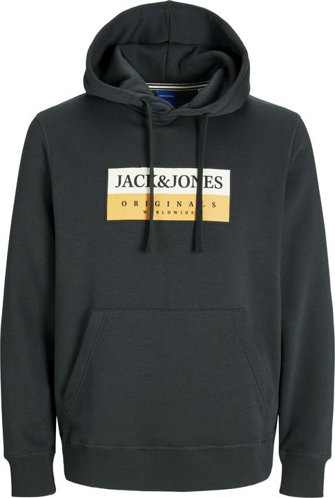 Jack & Jones Jorfrederiksberg Box Sweat Hood Sn