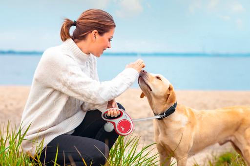 Actual product image Flexi New Comfort belt (L, Dog, Walks)