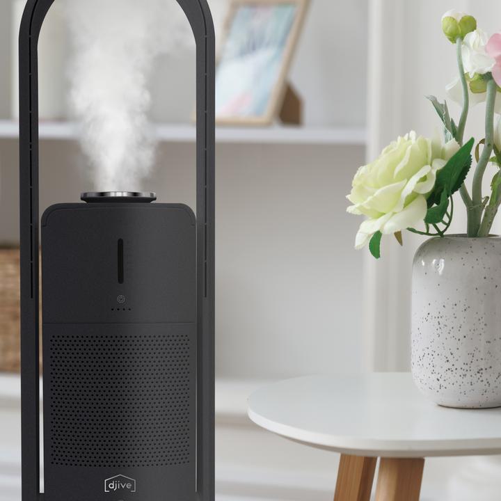Immagine prodotto Djive Umidificatore ARC (25 m²)